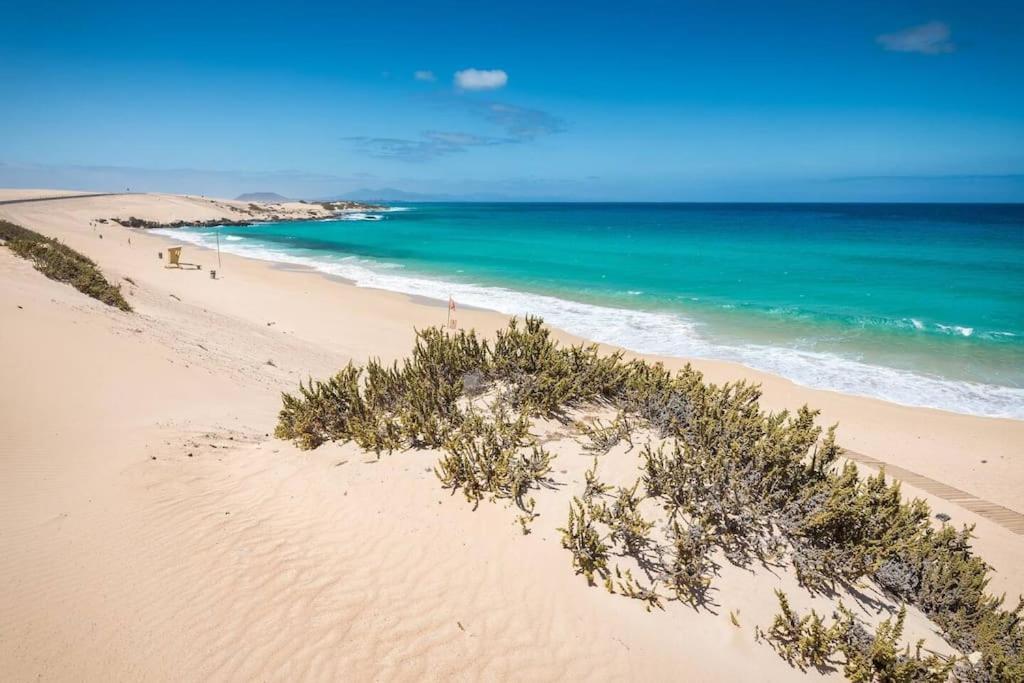 Апартаменты B-Rent Alisios Playa Isla Bonita Коральео Экстерьер фото
